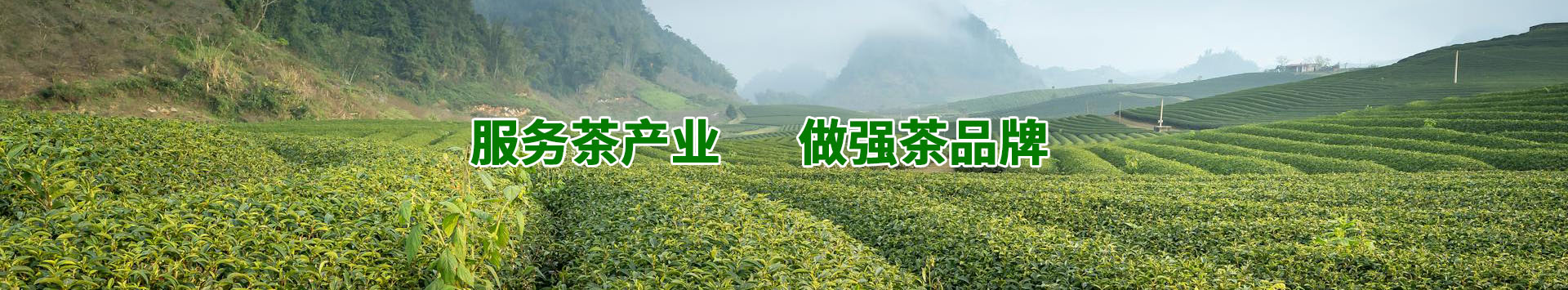首页大图